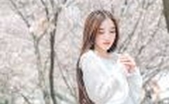 日本伦片免费观看